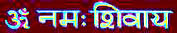 OM Namah Shivay